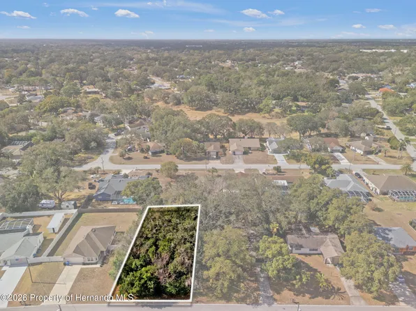 9028 Horizon Dr, Spring Hill, FL 34608