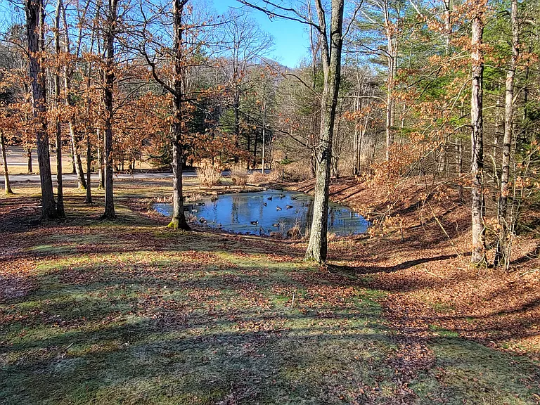 278 Forest Rd — Photo 59