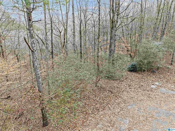 4th image of 0 Hillview Dr Lot 59