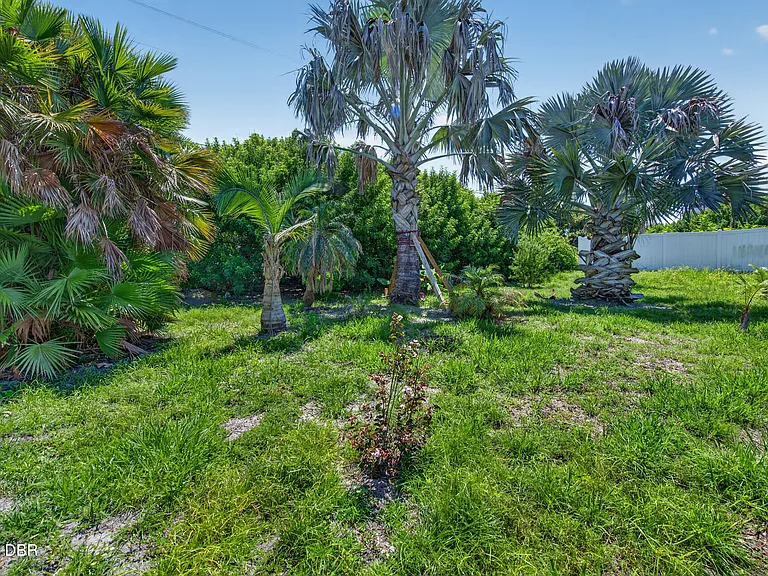 6447 Engram Rd — Photo 47