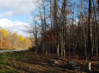 22 Flyfisher Way, Chardon, OH 44024