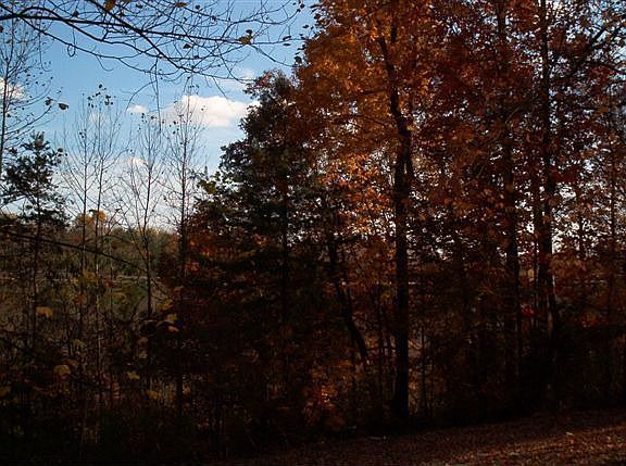 Home site view (rear)