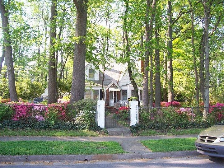 Street View in Spring