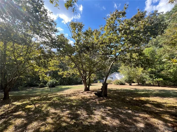 1453 Mount Moriah Church Rd, Ethelsville, AL 35461