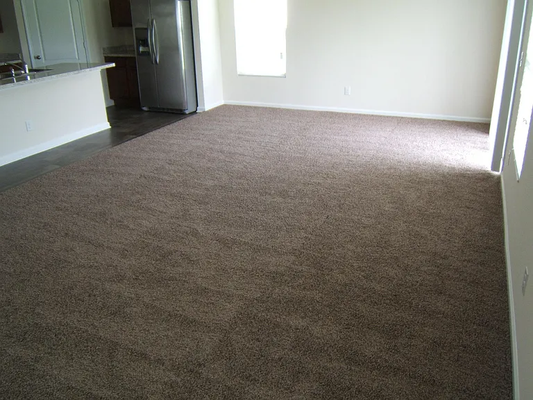 240 Blue Creek Way — Photo 15