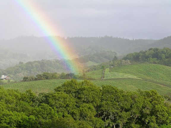 Rainbow over the Wood