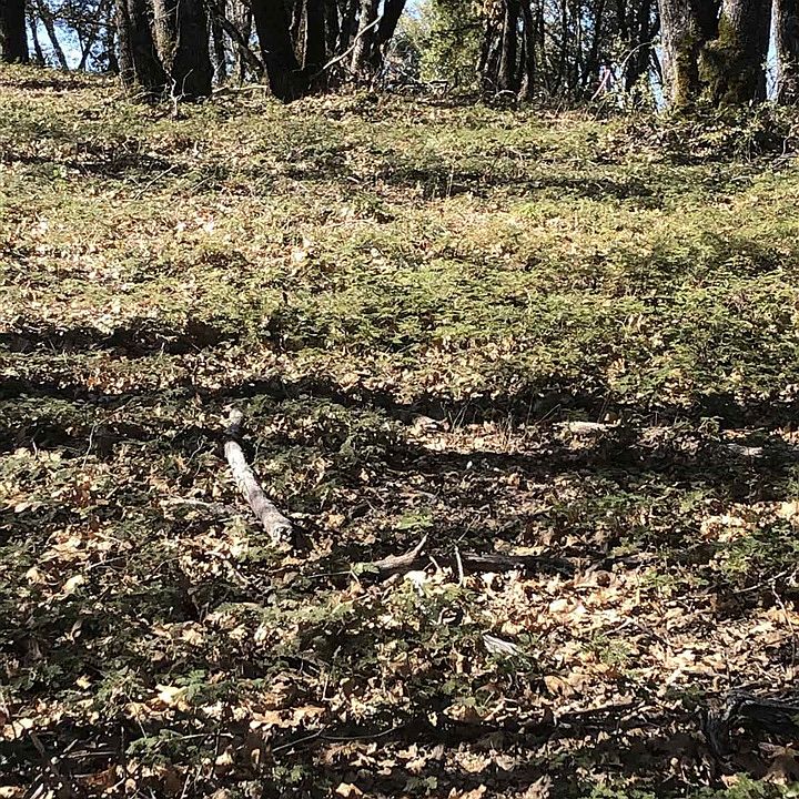 1st image of 0 Deer Park Ct Lot 3