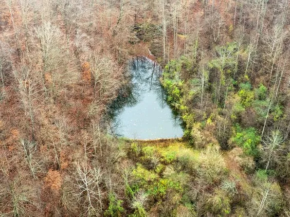 0 Brown Branch Rd #Dix-088.00, Sidney, KY 41564