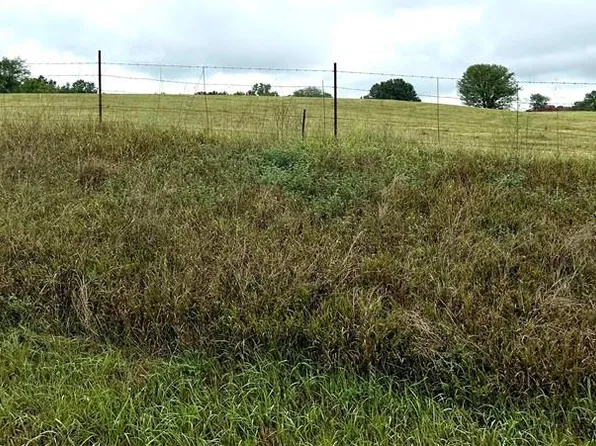 V Hwy, Polo, MO 64671