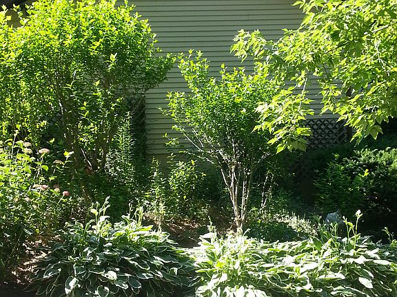 3rd image of 9027 Hillview Dr