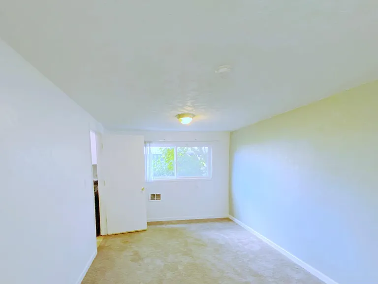 Downstairs Bonus room