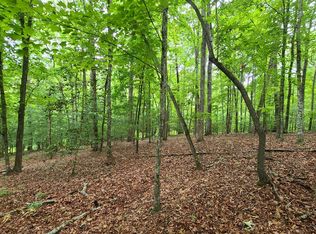 Shade Tree Ln, Mineral Bluff, GA 30559