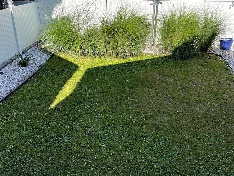 115 Hauxhurst Ave #1 — Photo 30
