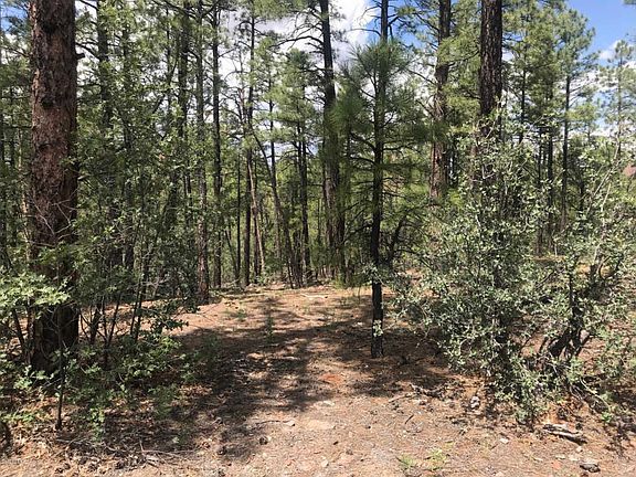 5th image of 360 W Aspen Trl