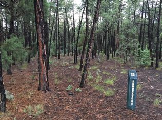 160 Cliff Rose Ln, Show Low, AZ 85901