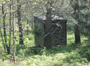 W Lewiston Grade Rd, Grayling, MI 49738