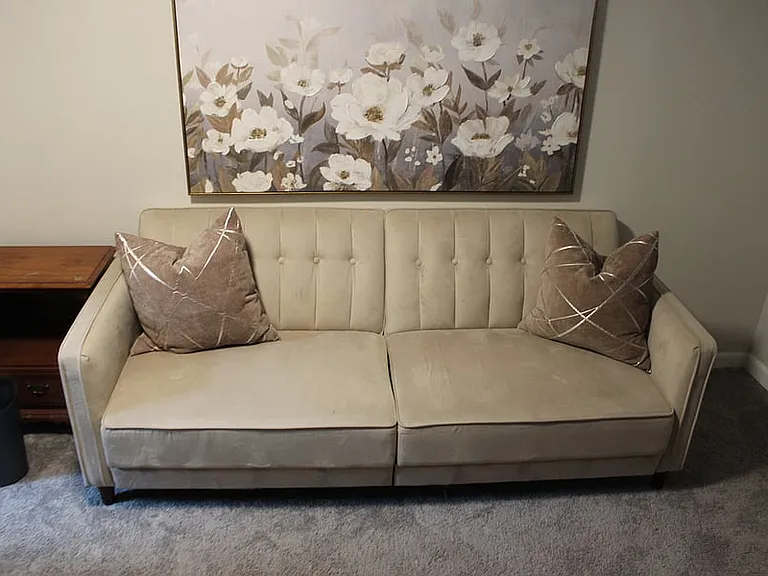 Sleeper futon!
