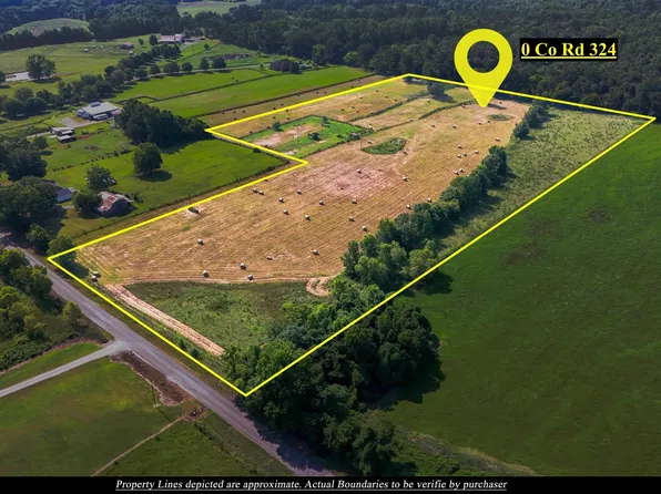 County Road 324, Moulton, AL 35650