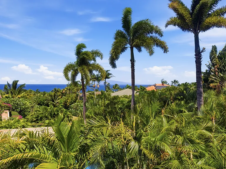 357 Kualono Pl — Photo 27