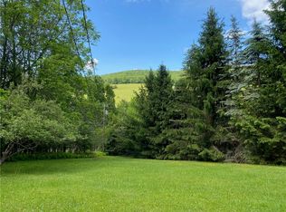 1593 Kiff Brook Rd NE, Bloomville, NY 13739