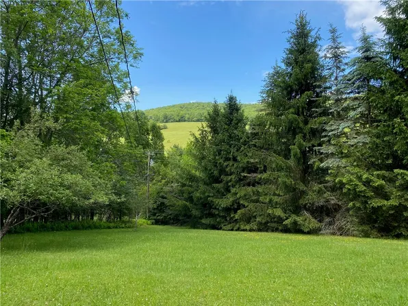 1593 Kiff Brook Rd NE, Bloomville, NY 13739