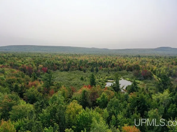 M 64 Hwy, White Pine, MI 49971