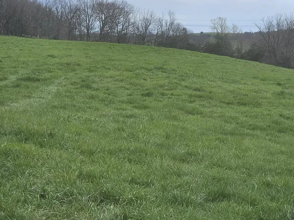 Wise Hollow Rd, Bridgewater, VA 22812