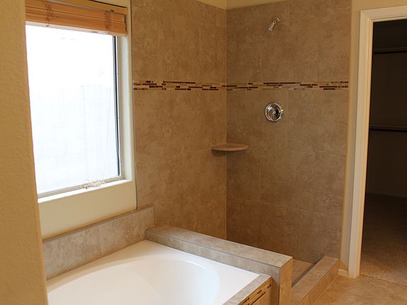 Master Tub/Shower 