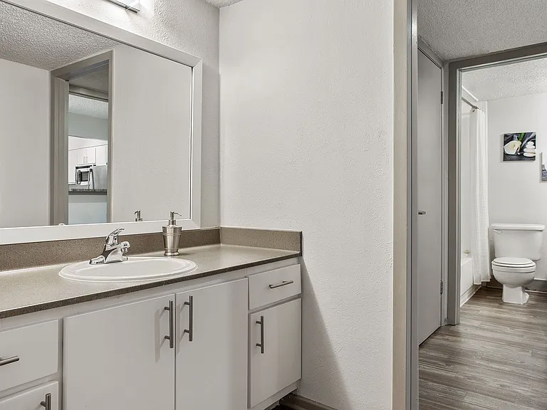C242450_AdairoffAddison_Vacant1b1b_Bathroom_01