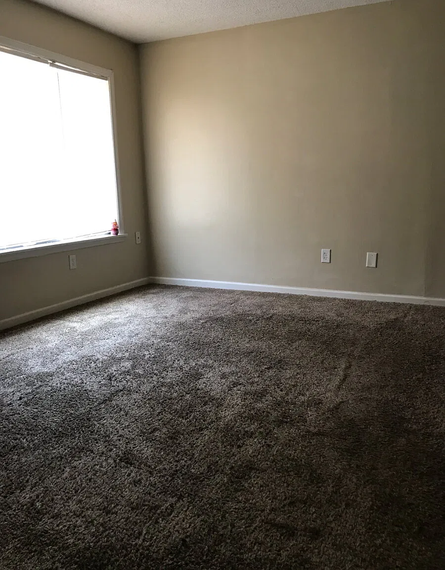 Studio, 1.0 bath, $650 — Photo 3