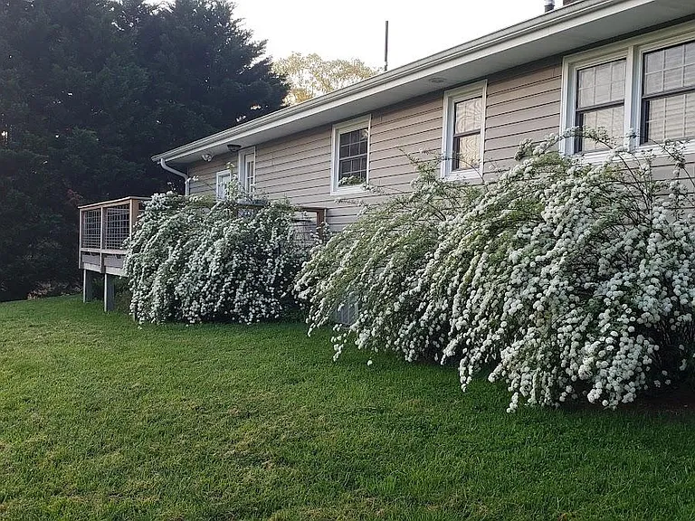 View of back of home