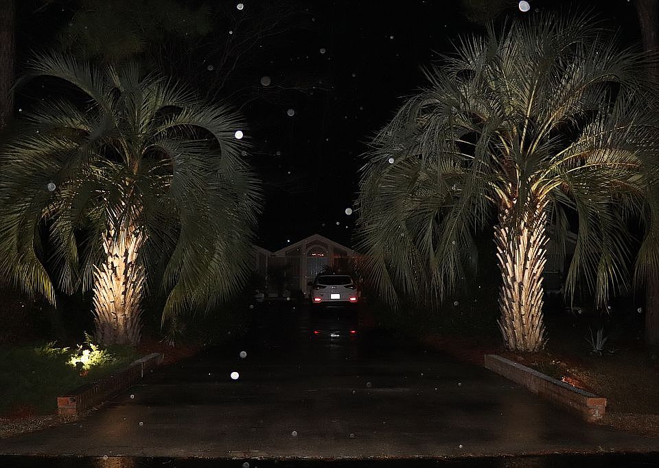 Front Entrance At Night