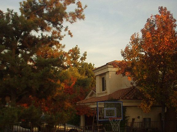 3rd image of 28761 Hilltop Dr