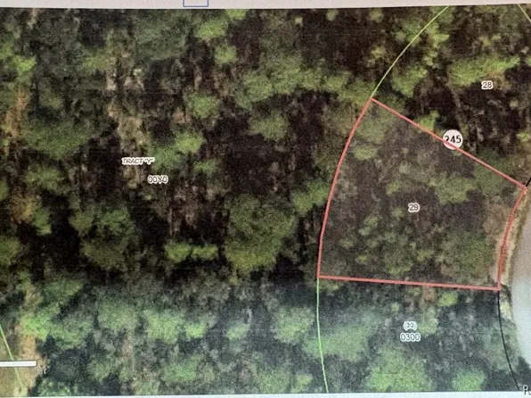 20 Hibiscus Ct, Homosassa, FL 34446