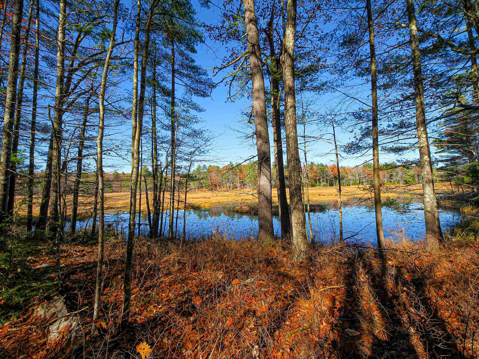 114001 Ledgy Pond Road, Moultonborough, NH 03254 Zillow