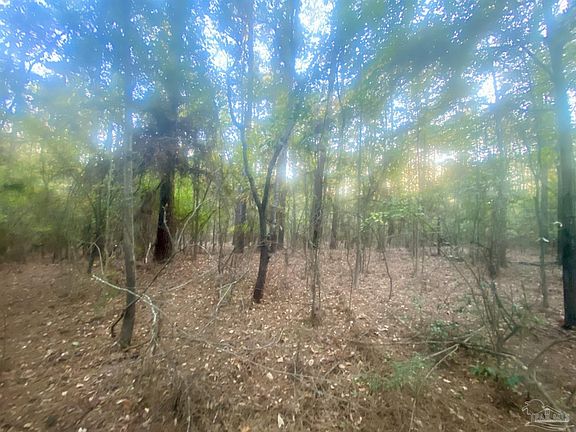5th image of 8.55 Acres Hwy #4