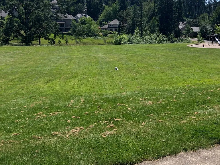 3097 Skyview Ln — Photo 32