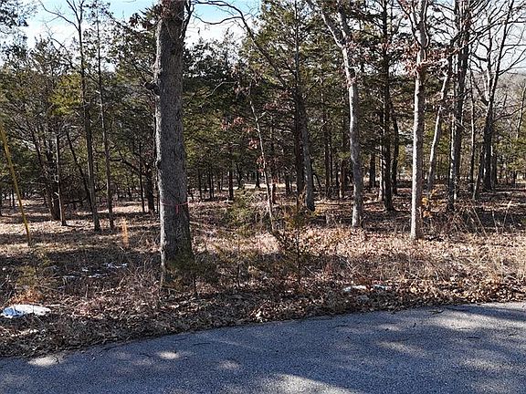 3rd image of 10321 Timber Hill Dr