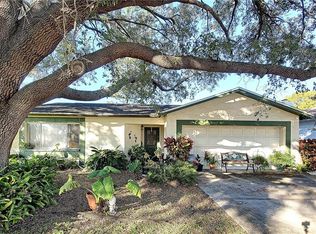 4841 Cypress Tree Dr, Tampa, FL 33624