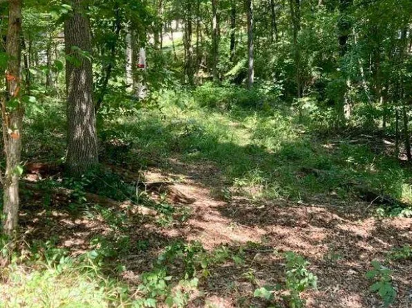 Akers Rd, Hot Springs National Park, AR 71901