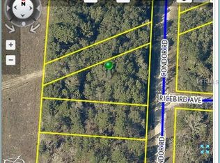 14197 Condor Rd, Weeki Wachee, FL 34614