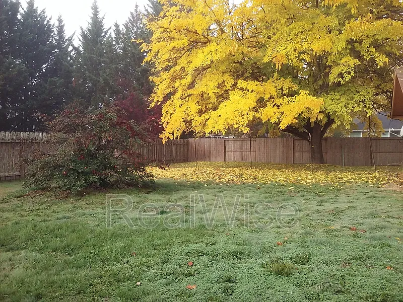 2 bed, 1.0 bath, 1000 sqft, $1,375 — Photo 4