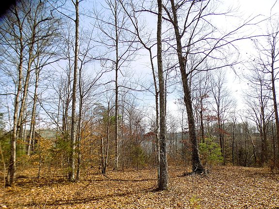 5th image of LOT 24 Restful Run Rd