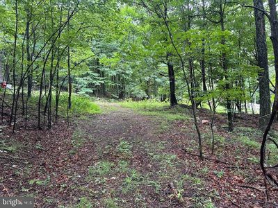 61 High Mountain View Rd, Romney, WV, 26757