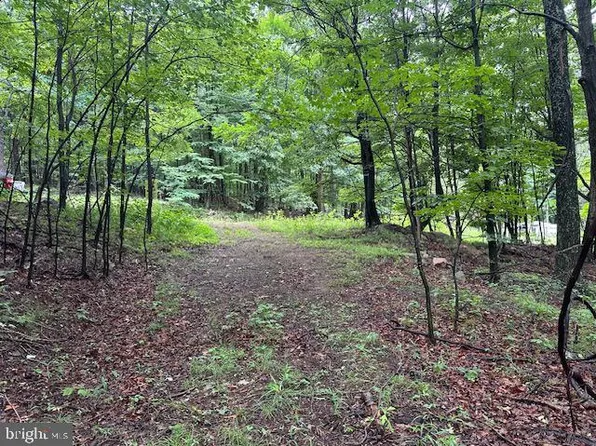 61 High Mountain View Rd, Romney, WV 26757