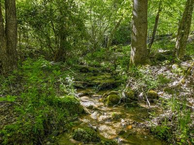 0 Bear Back Rdg LOT 6, Franklin, NC, 28734
