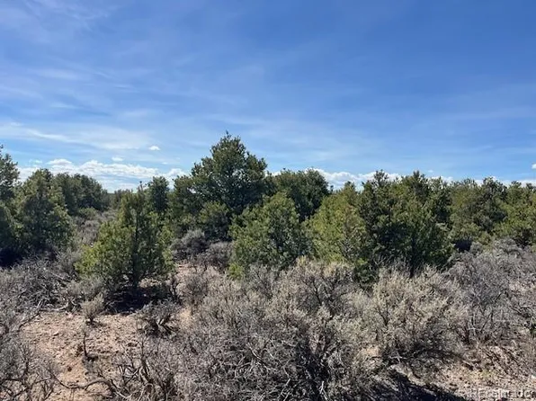 Garland Trail, Parcel 13, San Luis, CO 81152