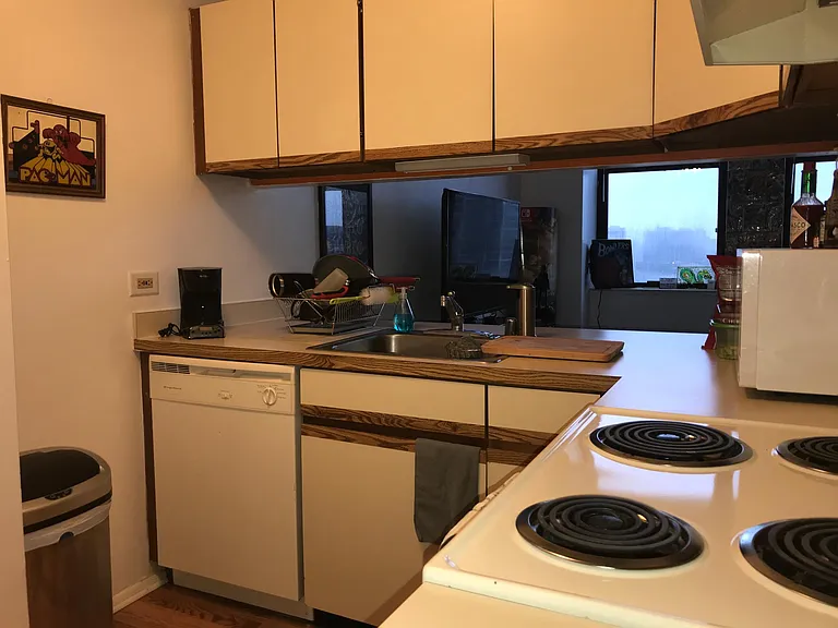 780 S Federal St #1008 — Photo 7