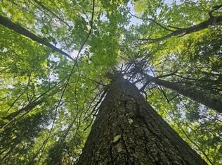 2016 2016 Hudson Road, Hudson, ME 04449