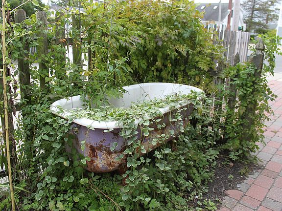 Mature gardens.